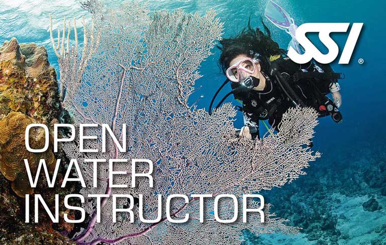 Curso Open Water Instructor SSI (AI + ITC)