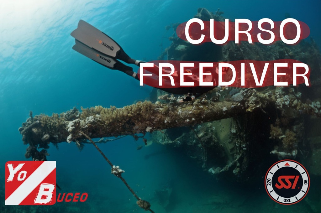 Curso Apnea SSI Nivel Freediver con fecha