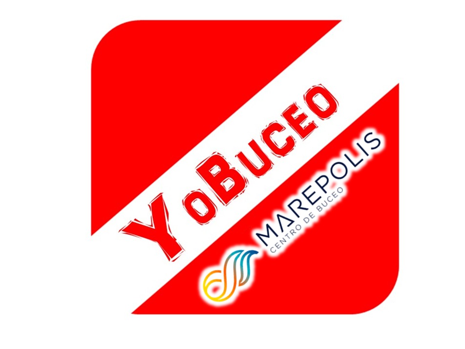 Alquiler Regulador